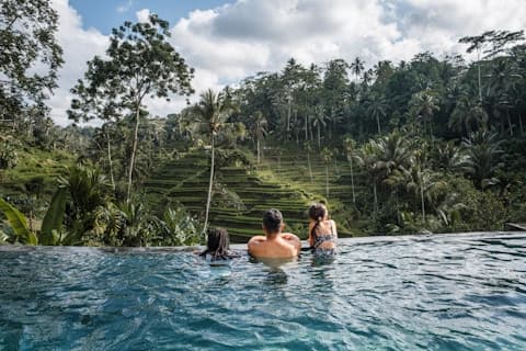 Infinity pool in jungle